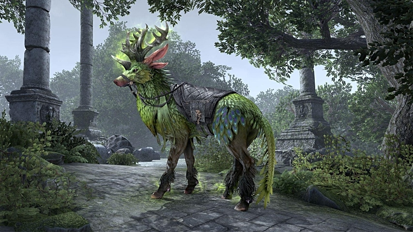 summerset celebration event