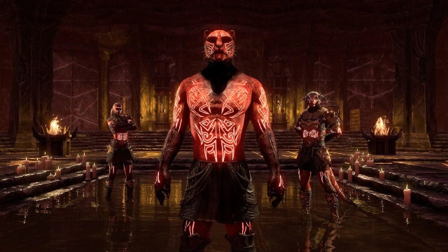 tribunal celebration event