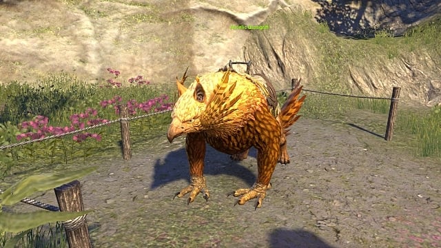 ESO Soulfire Dragon Illusion Pet Guide - ArzyeLBuilds