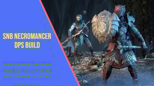 necromancer snb dps