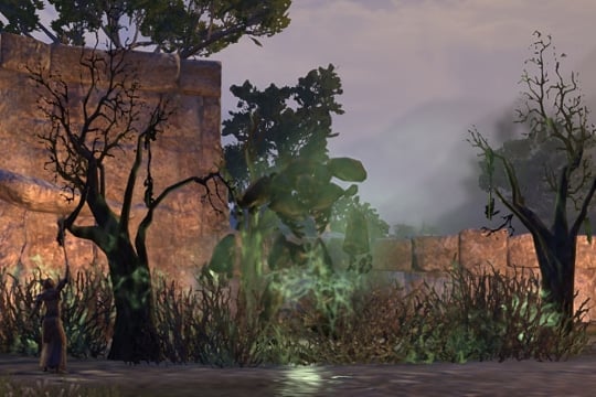 earthen root enclave