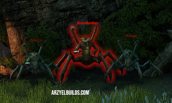 fungal grotto 1