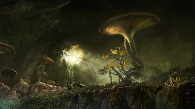 fungal grotto 2