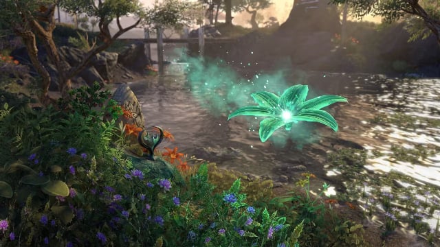 passion dancer blossom