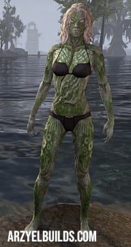barkroot blessing skin leads eso
