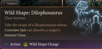 druid build bg3