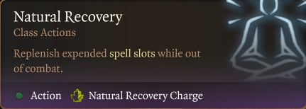 druid build bg3