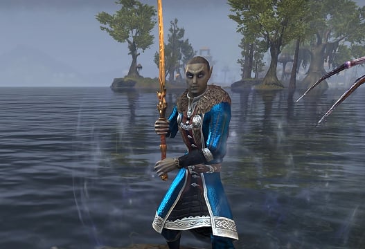 stamina sorcerer 2h dps build eso