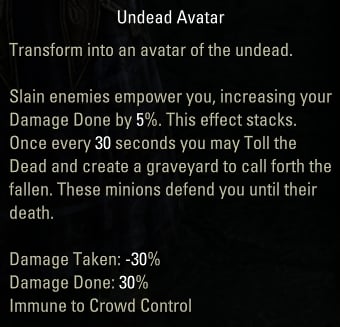 necromancer infinite archive build visions