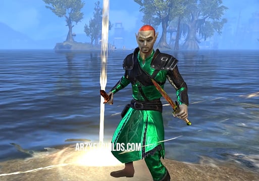 one bar stamina arcanist dps