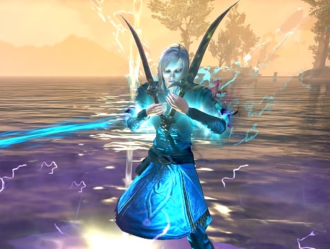 warden vampire dps build eso