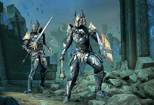 warden snb dps build eso