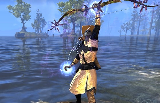 one bar stamina sorcerer bow dps build