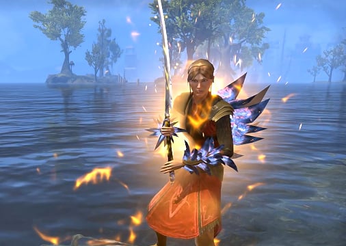 stamina dragonknight pvp build eso