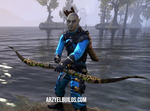 one bar stamina sorcerer bow dps build eso