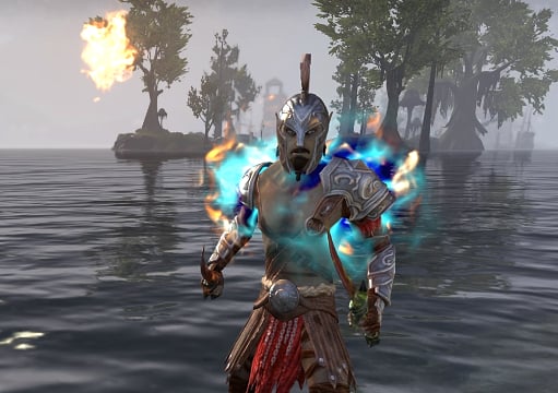 stamina nightblade dps subclassing build eso