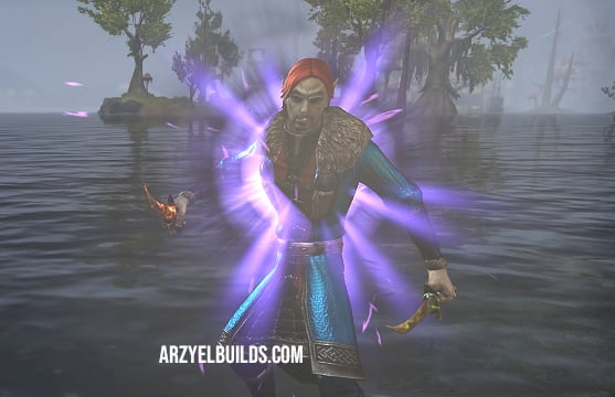 stamina warden subclassing dps build