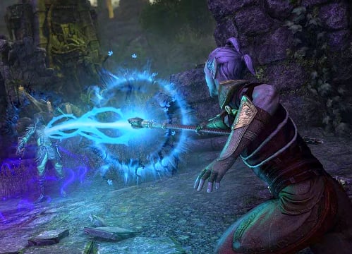 sorcerer vengeance pvp build eso